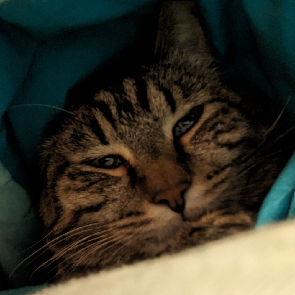 Meet your Posher, AJ